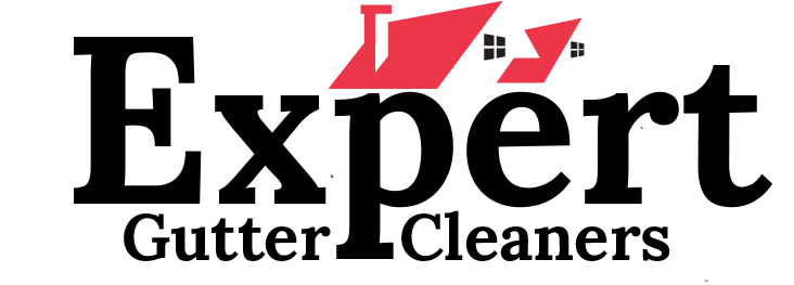 Expert Gutter Cleaners